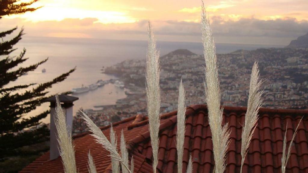 Charmoso No Funchal, Com Grande Jardim E Vista Esplêndida *