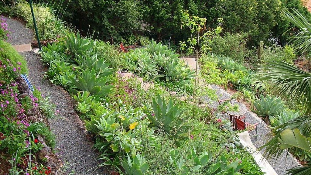 Appartement Charmoso No Funchal, Com Grande Jardim E Vista Esplêndida