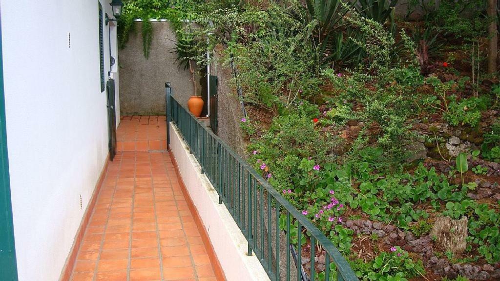 Appartement Charmoso No Funchal, Com Grande Jardim E Vista Esplêndida