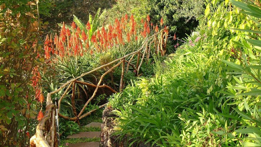 Charmoso No Funchal, Com Grande Jardim E Vista Esplêndida Appartement